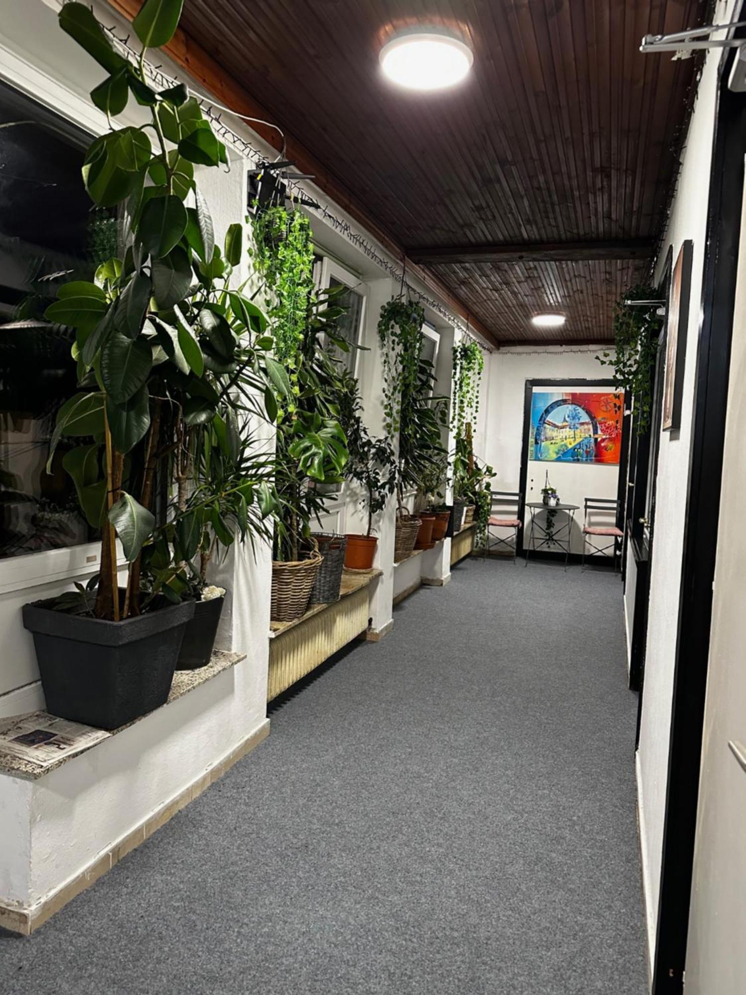 Hostel Lovely Rooms, City Center, Shared Bathroom, Windows To Corridor Φίλλαχ Εξωτερικό φωτογραφία