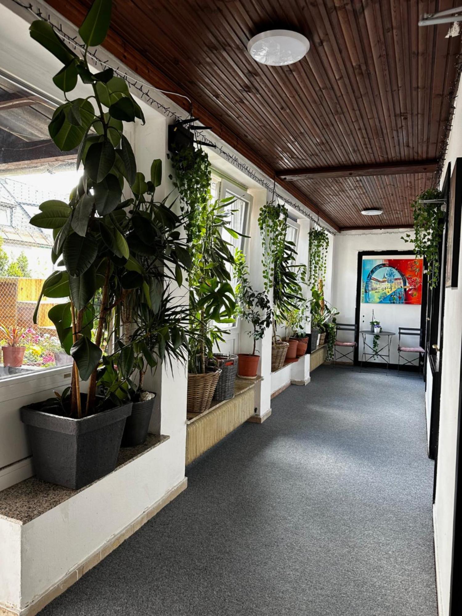 Hostel Lovely Rooms, City Center, Shared Bathroom, Windows To Corridor Φίλλαχ Εξωτερικό φωτογραφία